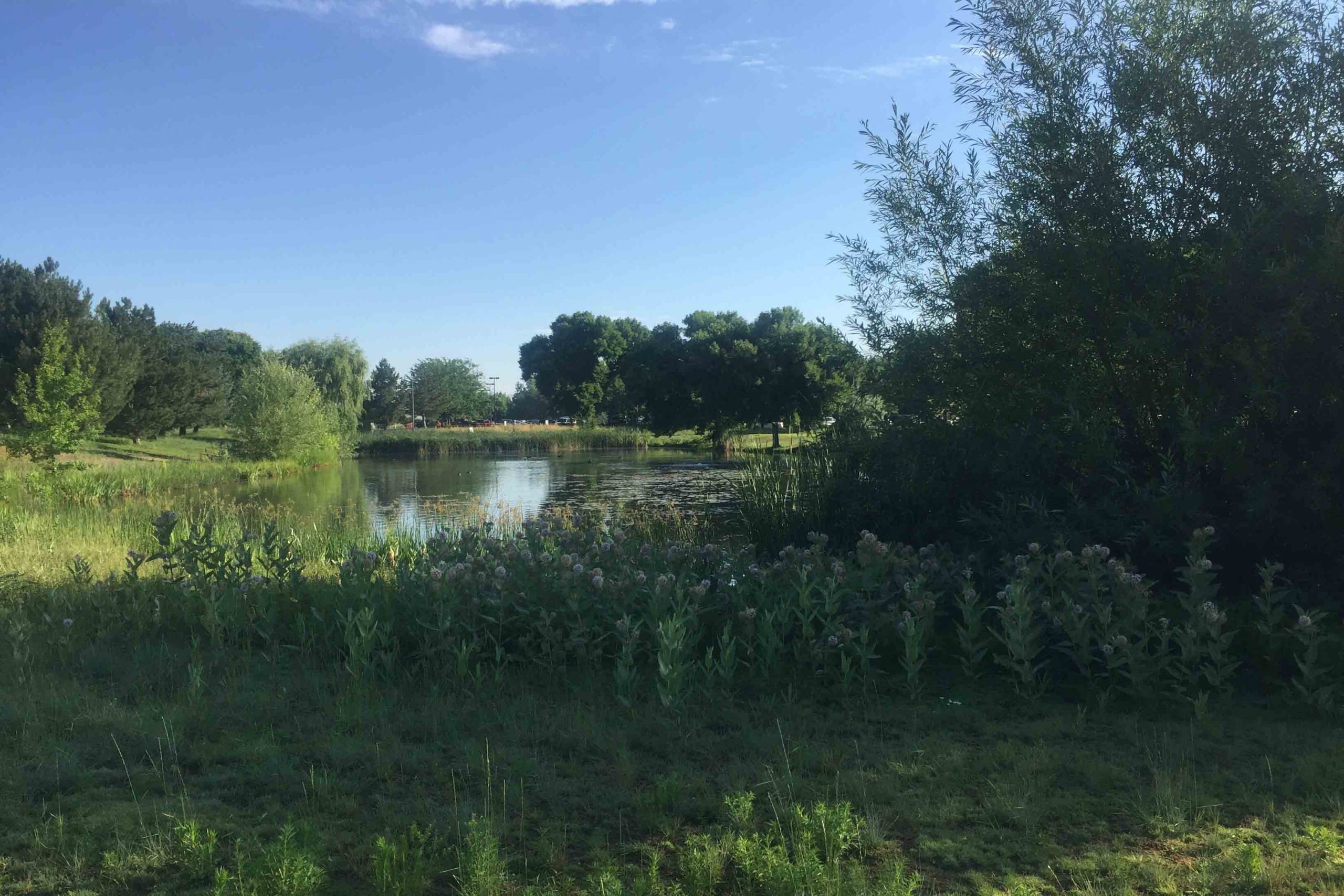 HP Inc.'s Boise Campus experiences environmental and social benefits